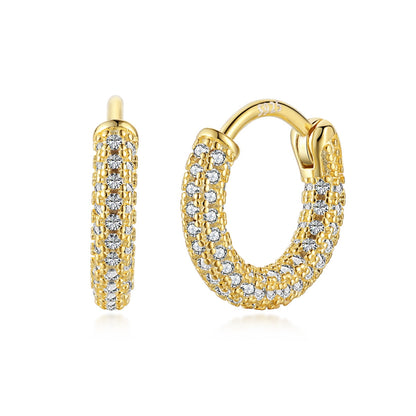 [Nova Jewelry]Delicate Versatile Daily Earrings