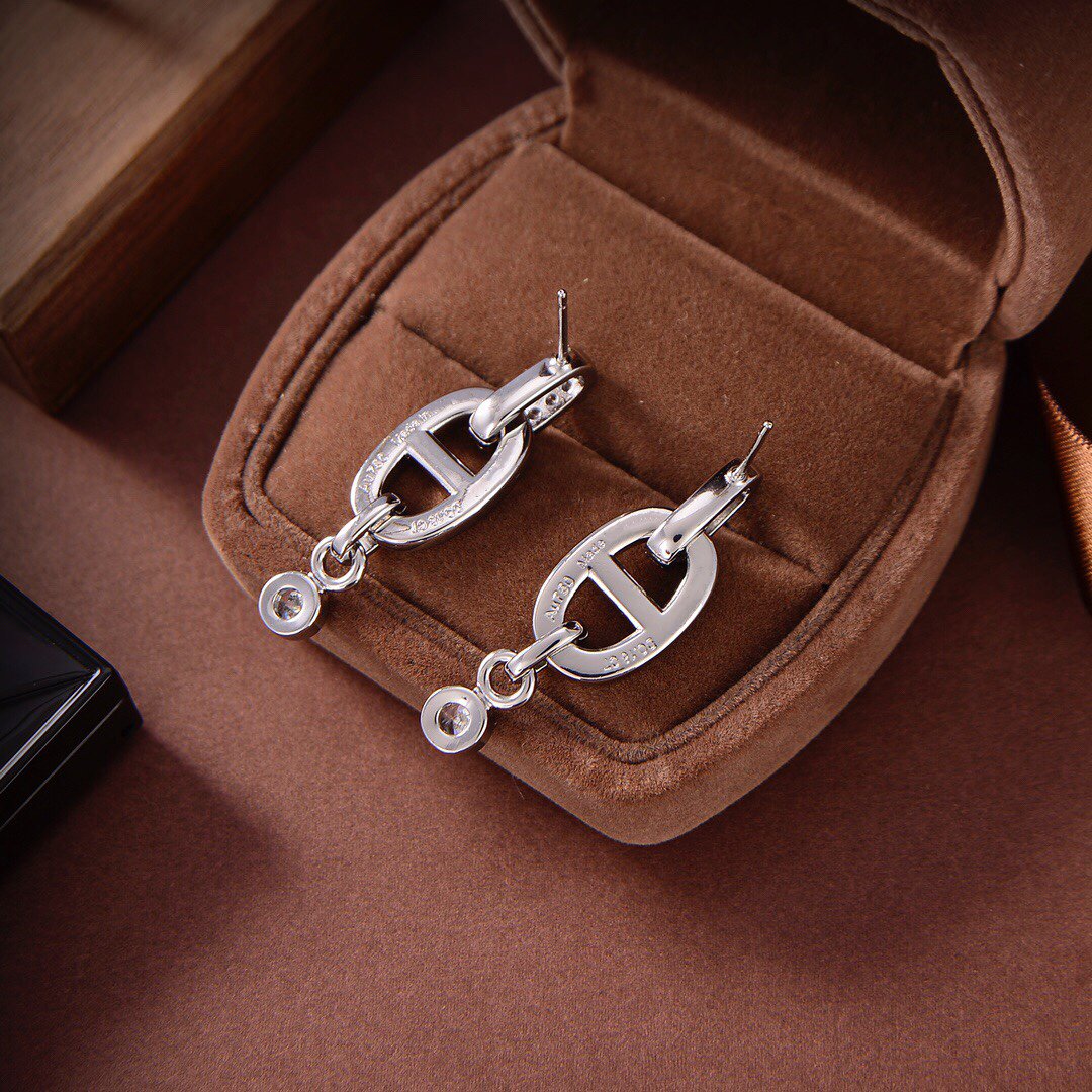 [BLUE TEARS]HM CHAINE DIAMOND EARRINGS
